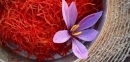 هشدار نسبت به رکوردشکنی تولید زعفران