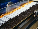 تولید سیگار همچنان صعودی