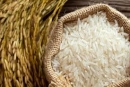افزایش یک تا ۳ هزار تومانی قیمت برنج‌های وارداتی/ کاهش واردات قیمت‌ها را بالا برد