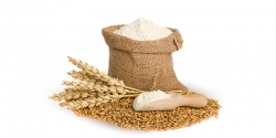 طرح تولید نشاسته و آرد از برنج