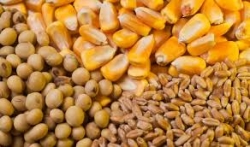 هیچ کمبودی در کالاهای استراتژیک نداریم