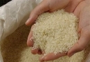 قیمت برنج ایرانی تا ۲۵ هزار تومان بالا رفت