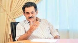 داود سوری : آزادی گرگ‌ها موثر است به شرط آزادی گوزن‌ها