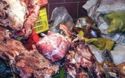 کشف ٩٠تن گوشت غیر‌بهداشتی در ٥٥ روز