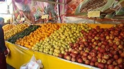 کاهش قیمت پیاز در راه است/حداکثر نرخ هر کیلو گوجه سبز ۵۰ هزار تومان
